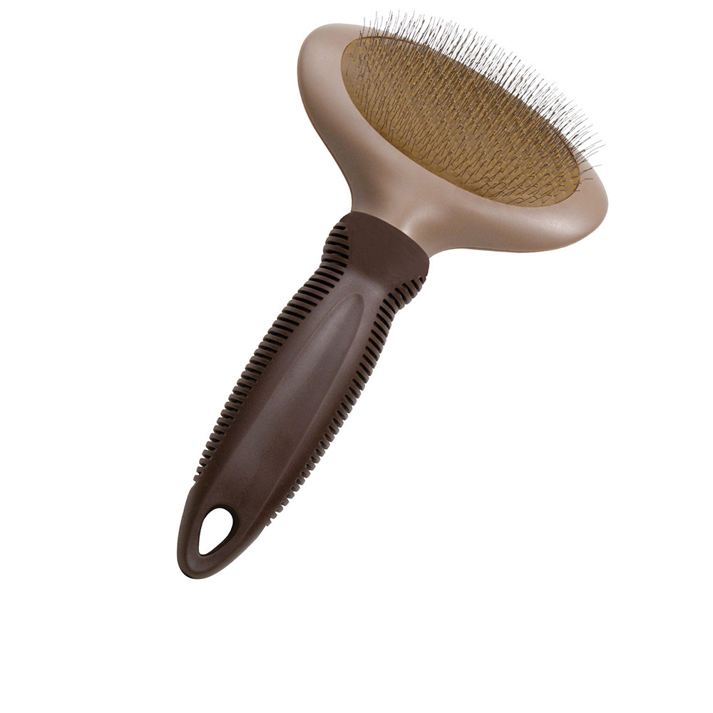 Gloria Pets Carda Ovalada Pequeña 1 U
