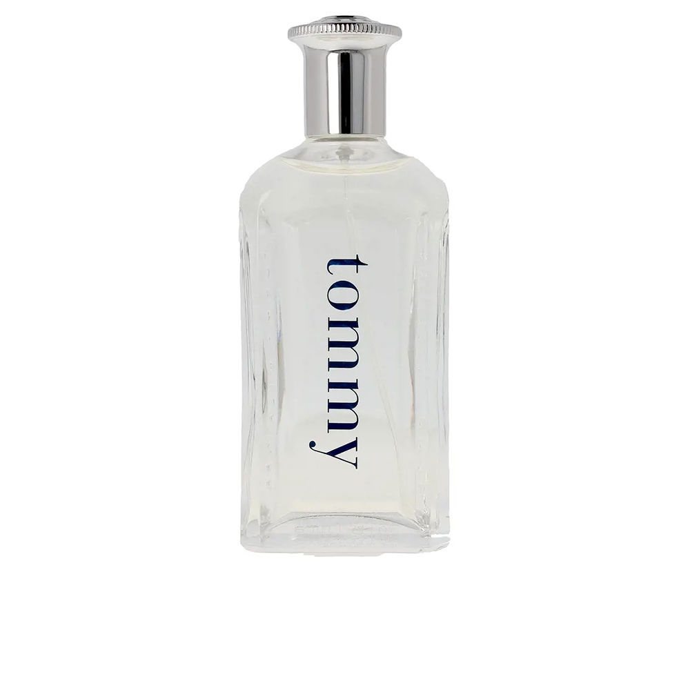 Tommy Hilfiger Tommy Edt Vapor 100 Ml