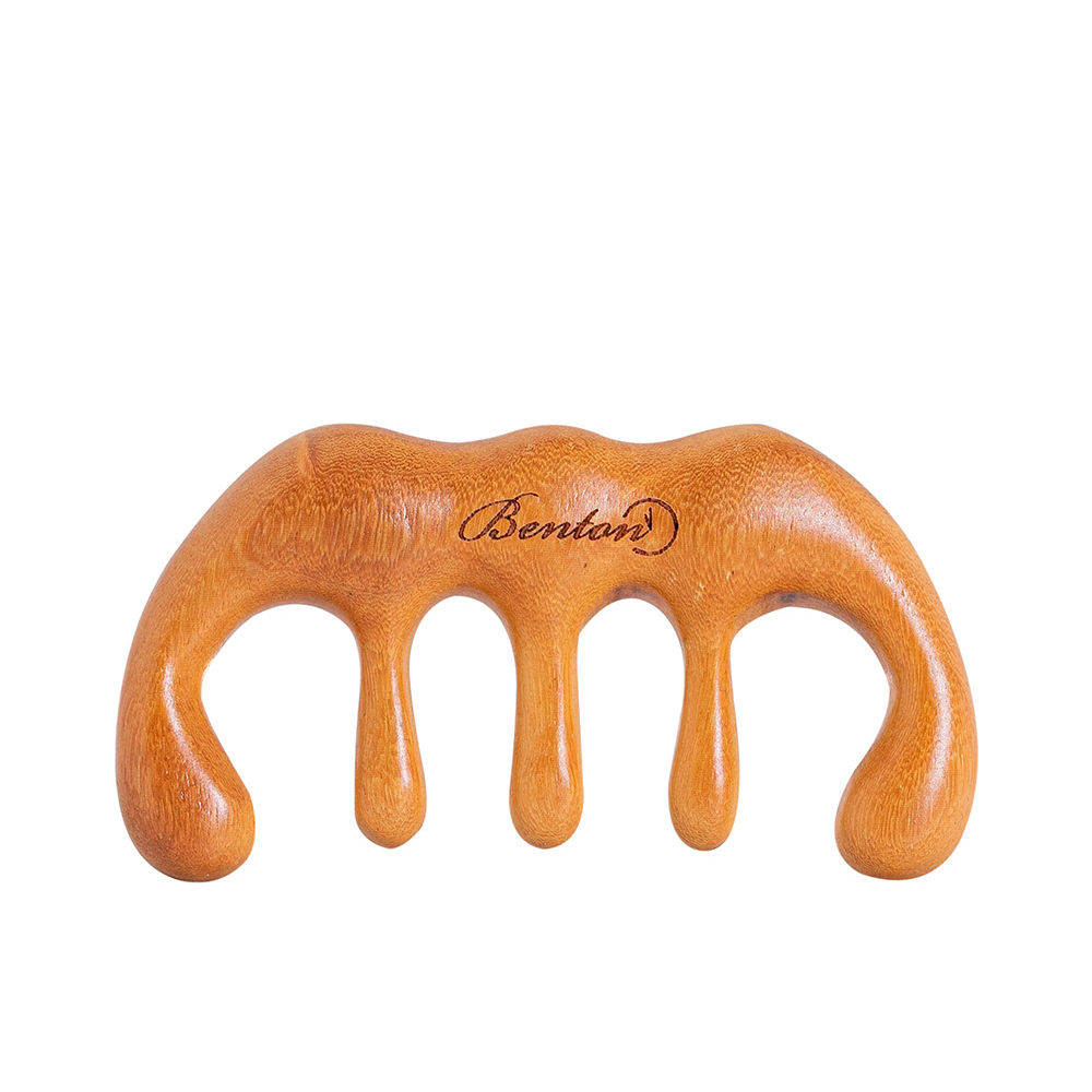 Benton Scalp Brush Massager 1 Unit